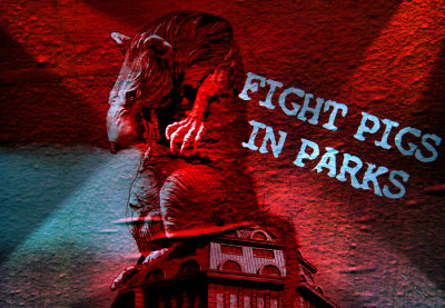 Fight pigs in parks