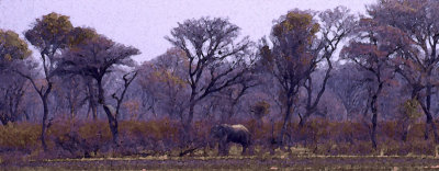 Namibia