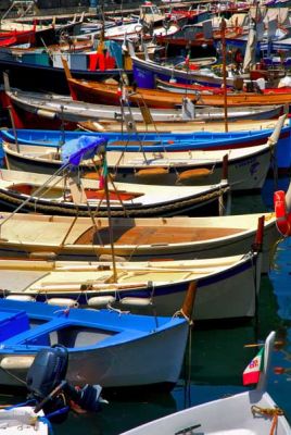 Fishing boats