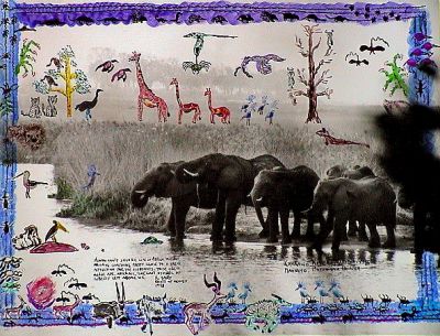 Quote from Beard No.1 - Elephants in Northern Namibia