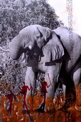 Quote from Beard No.2 - Elephants driking in Savuti, Botswana