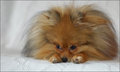 DSC_4796_web.jpg