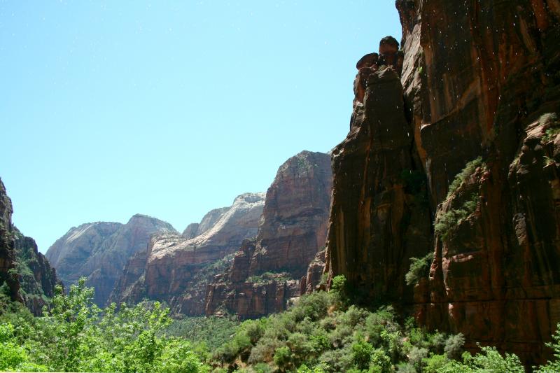 The view from beneath weeping rock