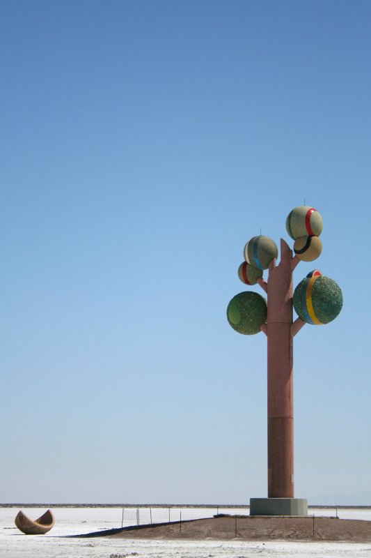 A Huge Tree in the Middle of the Salt Flats