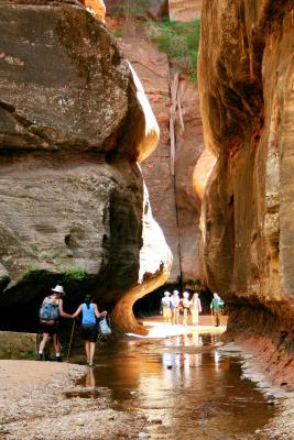 The Subway - Left Fork, North Creek