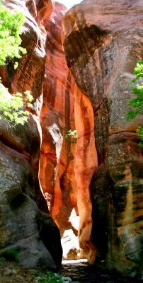 Entrance to Kanarra Narrows