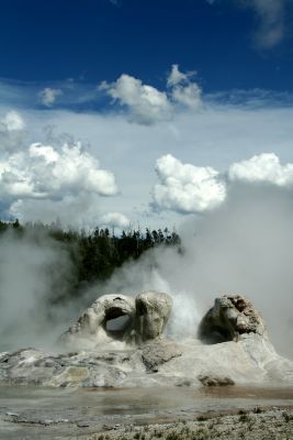 Grotto Geyser erupting