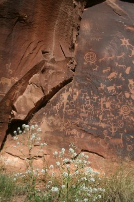 Newspaper Rock with Flowers