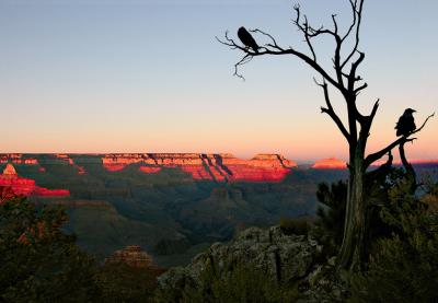 Sunset at the South Rim