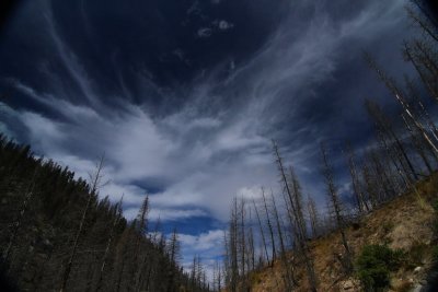 mini-IMG_3625_1.JPG