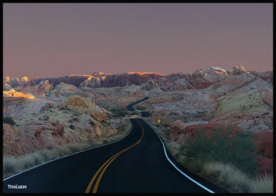 misc_shots_nv