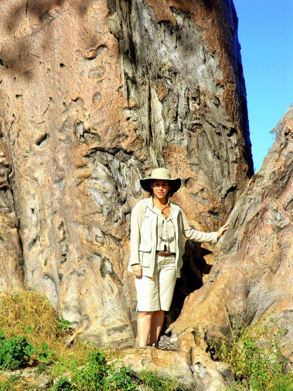 Touches the Soul:  4,000 Year-Old Baobab Tree