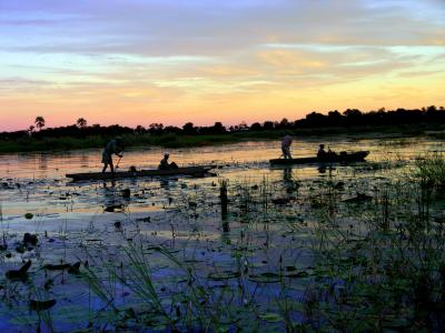 Mokoro Ride at Sunset