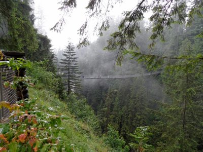 Capilano Suspension Bridge - 450ft long, 230ft from the river and reassuringly wobby since 1889!