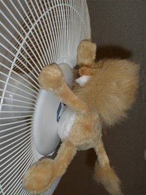 20/7/11 and 37C(97F) and even the stuffed animals try to keep cool!