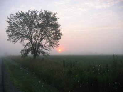 20th July 2006, Misty Morning Sunrise