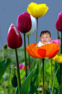 Tori Poppy