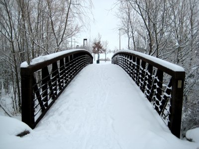 The bridge to the park