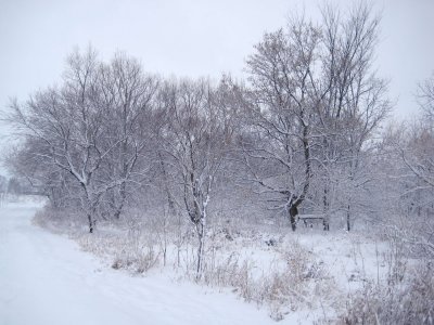 It's like living in a Christmas Card