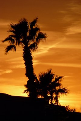 Apache Junction AZ March 2011