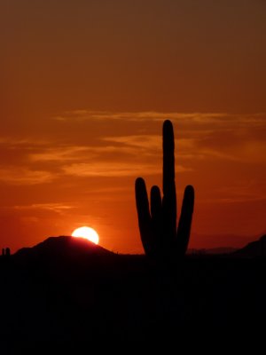 Amazing sunset