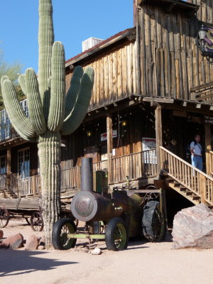 Goldfield Ghost Town, Apache Junction - Saguaro cactus