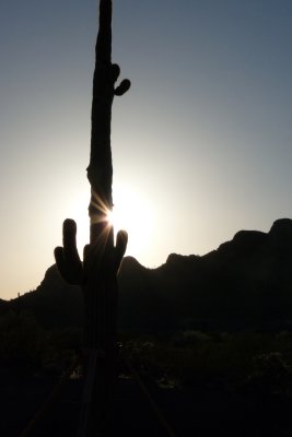 Amazing Sunset