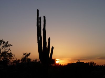 Amazing Sunset