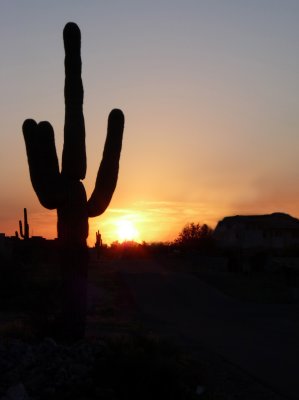 March 2011 Apache Junction AZ