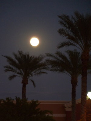 Moon over Arizona
