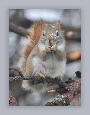 Nutmeg Wears The Latest In Winter White