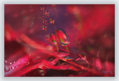 Water, Plastic Wrap, Light & Colorful Items For Reflections