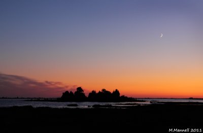 Sliver