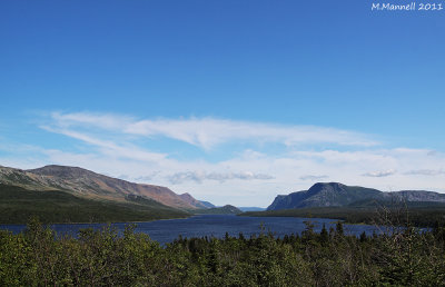 Trout River