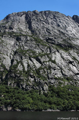 Tall Wall