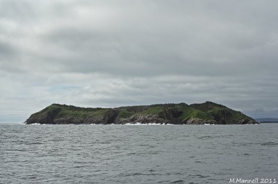 Gull Island