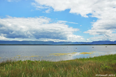 Promising Shores