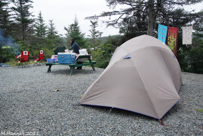 Newfoundland 2011