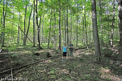 Forest Dwellers