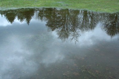 January Puddle