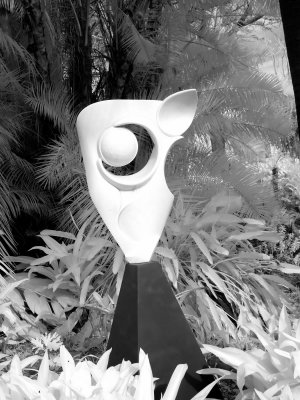 P2020080 (2) BW.jpg