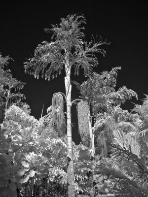 P4060236.jpg