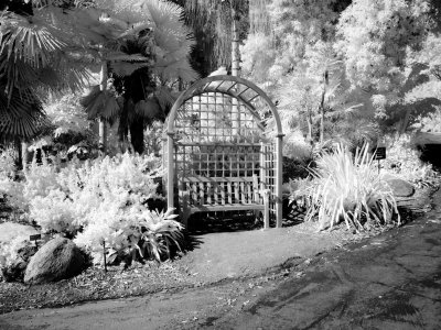P4060239 BW.jpg