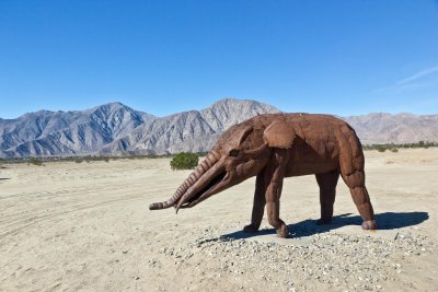 IMG_0790.jpg