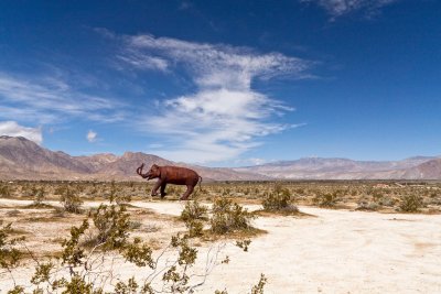 _MG_1625.jpg