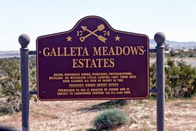 Galleta Meadows Estates Gomphotherium Metal Sculptures