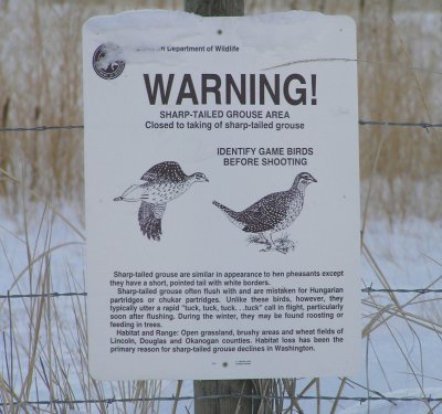 Warning sign for Sharp tailed grouse