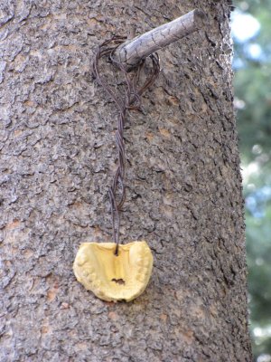 Strange amulet above camp
