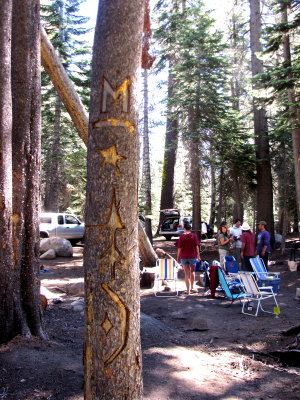 Tree Carvings