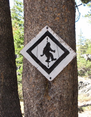 Sasquatch Crossing?